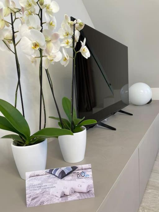 Queen Verona Luxury Apartment Eksteriør billede
